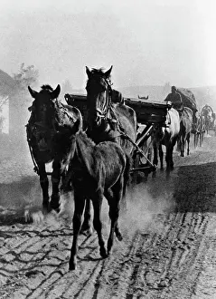 Foal: German supply column in Poland, 1939