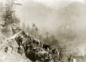 Breakthrough: German supply convoy during the 12th Battle of the Isonzo, 1