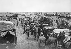 Replenishment: German supply convoy on the Eastern Front, 1942