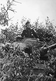 Waits: German tank in a camouflaged position on the Eastern front