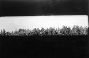 Slit: German tank - Eastern Front, 1942