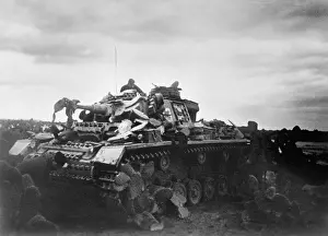 Cactus: German tank III in Tunisia, 1943
