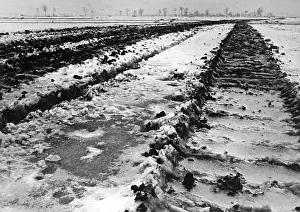 Besieged: German tank tracks, 1945