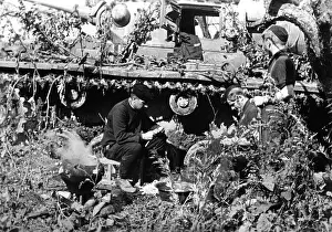 Rzhev: German tankers - Eastern Front, 1942