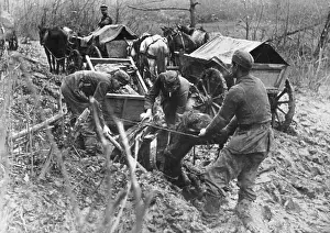 Softened: German teams on the Eastern Front, 1942