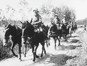 Aisne: German transport WWI