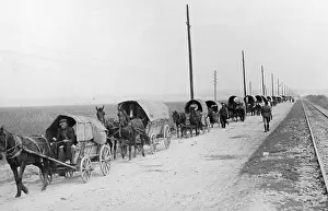 Onward: German trek in Romania, 1940