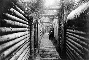 Armand: German trench in the Vosges forests, 1915