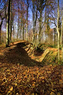 Steeply: German trenches in the Argonne