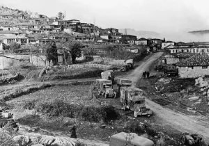 Weber: German troops in the Crimea, 1941