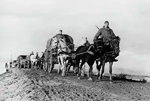 Jaila: German troops in the Crimea, 1941