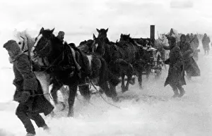 Whipping: German troops on the Eastern Front in winter, 1942