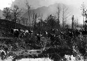 Austria Hungary: German troops in the Isonzo valley, 1917