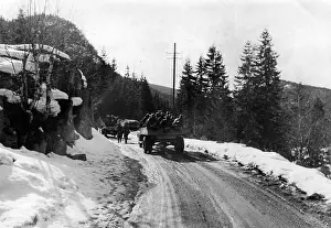 Weseruebung: German troops in Norway, 1940