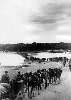 Lessmann: German troops on the Nyemen on the Eastern Front, 1941
