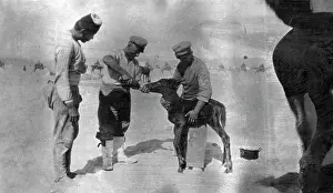 Watered: German troops in the Orient, 1917