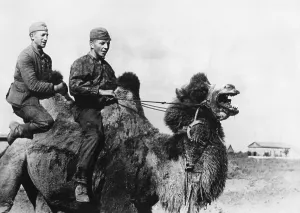 Rostov On Don: German troops at the river Don, 1941