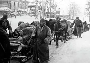 Bring: German troops in winter on the Eastern Front, 1942