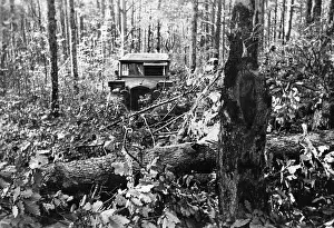 Faupel: German vehicle in the forest in the Caucasus, 1942