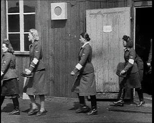 Belsen: German Women Jailers Being Marched Out Of Their