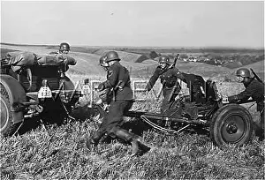 Heimwehr: GERMANS IN DANZIG