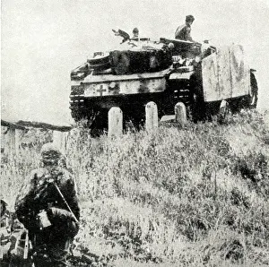 Pushed: Germans pushed back across Pripet Marshes, WW2