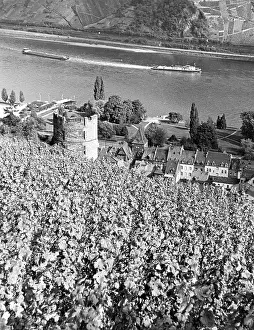 Bacharach: GERMANY/BACHARACH