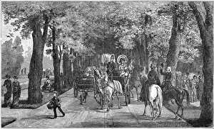 Allee: GERMANY BADEN-BADEN