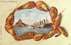 Prawns: Germany - Hamburg - The Harbour