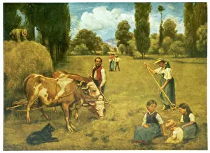Healthy: GERMANY, HAY MAKING