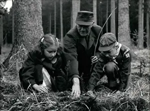 Seedlings: Germany - Lithuania - Poland