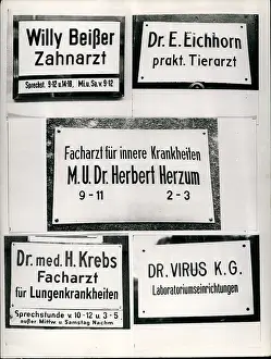 Professionals: Germany - Lithuania - Poland