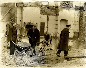 Handlers: Germany - Lithuania - Poland