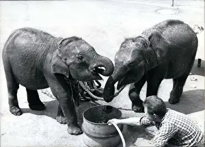 Thirst: Germany - Lithuania - Poland