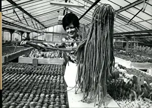 Grower: Germany - Lithuania - Poland