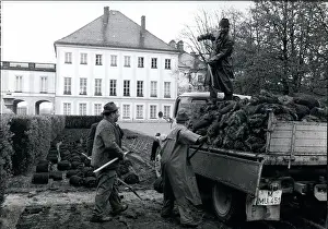 Transplantation: Germany - Lithuania - Poland