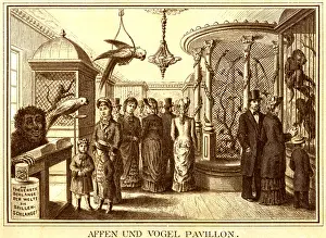 Pavillion: Germany, Munich, Aquarium, interior view, monkey