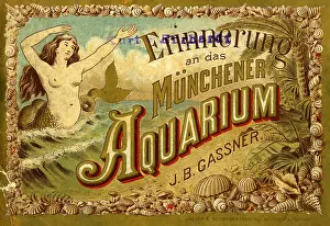Muenchner: Germany, Munich, Aquarium, Memories of the Munich