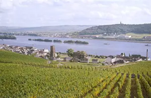 Rudesheim: GERMANY/RUDESHEIM