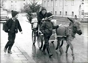 Hamelin: Germany WWII