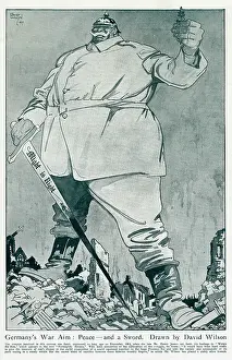 Stereotypical: Germany's war aim - Peace & a Sword, David Wilson, WW1
