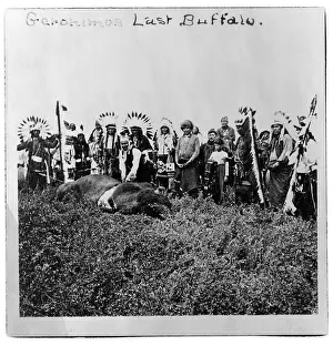 Geronimo: Geronimo's last buffalo. Geronimo standing ?