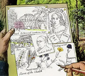 Wort: Gertrude Jekyll - Garden designer
