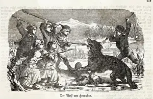 Gevaudan: Gevaudan Beast Attacked