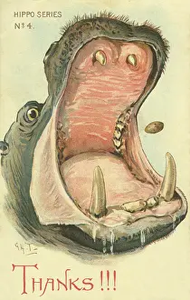 Nister: Hippo