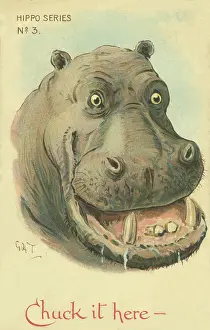 Nister: Hippo