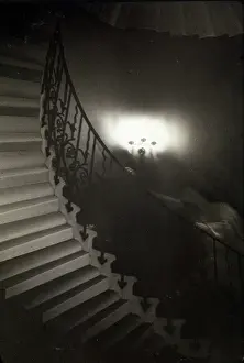 Ascending: Ghost on the Tulip Staircase of the Queen's House