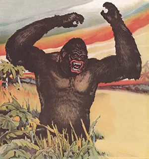 Apes: Giant Gorilla