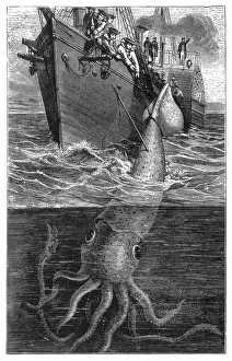 Mythic: Giant Squid Attacking Ship, 1893