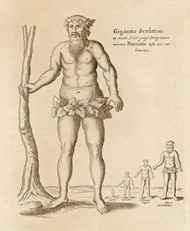 Oddities: GIANT OF TRAPANI